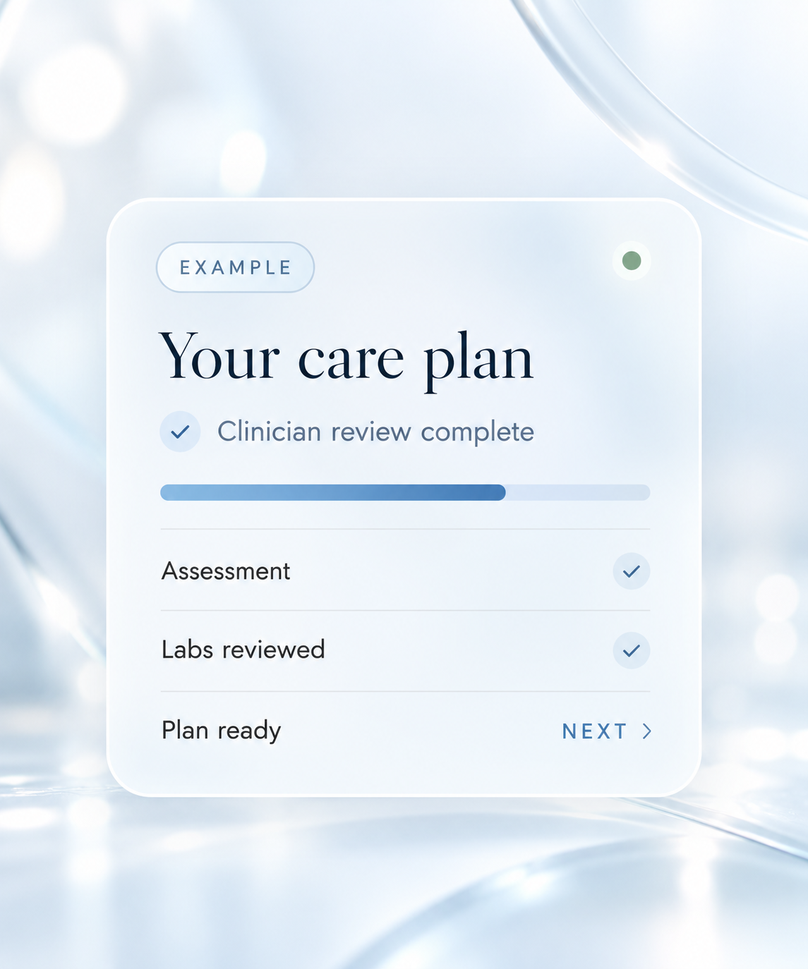Example of a TrueScriptMD care plan: assessment, labs reviewed and plan ready